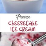 Freeze Cheesecake Ice Cream