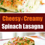 Cheesy Creamy Spinach Lasagna